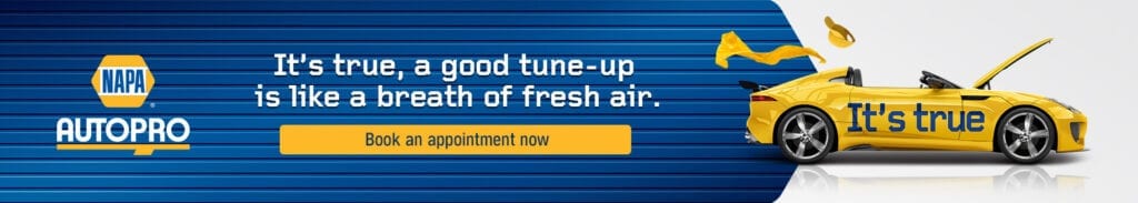 Summer tune-up 2021