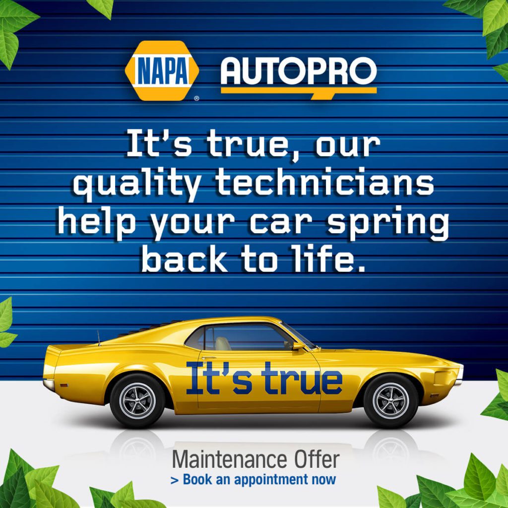 Spring Promo